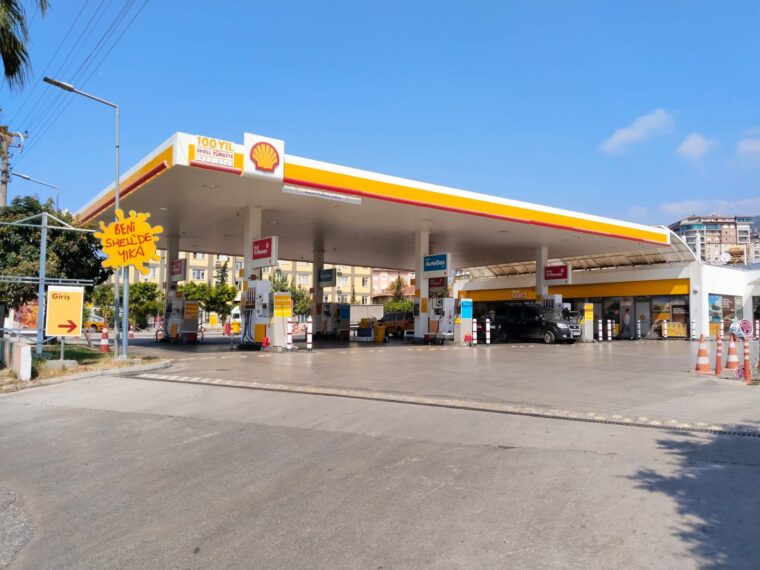 Alanya Shell